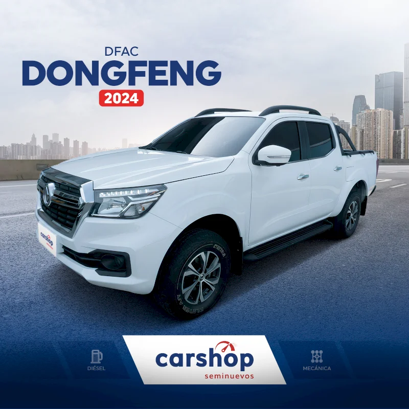Dongfeng Rich 6  2024